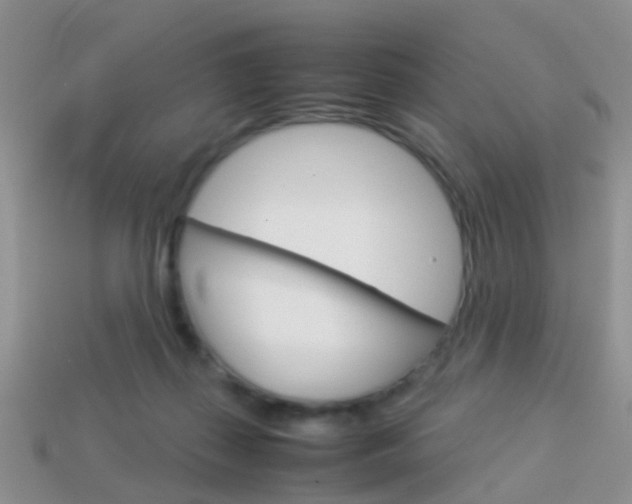 X0000114230267200910091334
