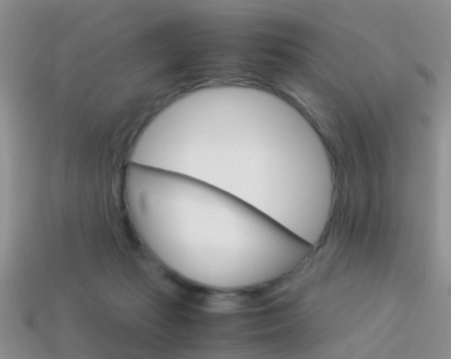 X0000114230269200910091334