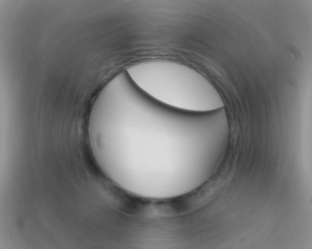 X0000114230270200910091334