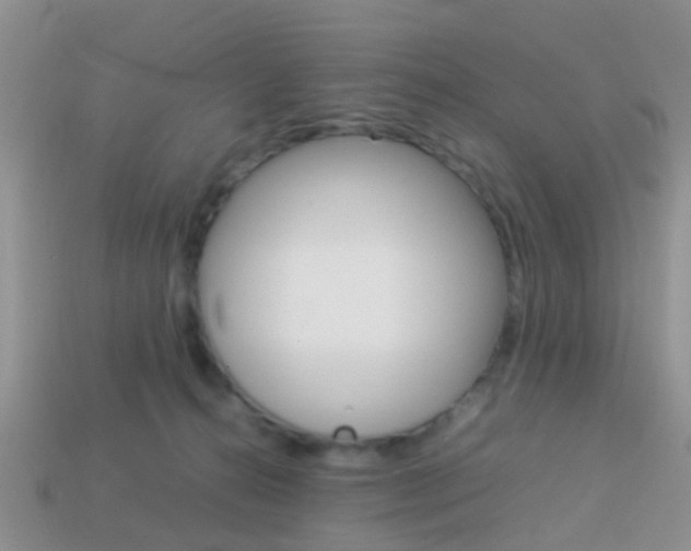 X0000114230272200910091334