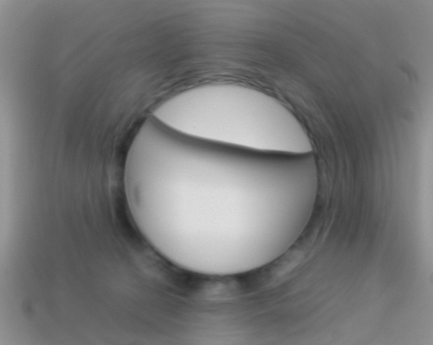 X0000114230274200910091334