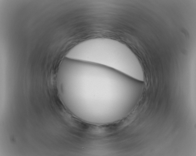 X0000114230276200910091334