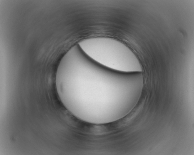X0000114230277200910091335