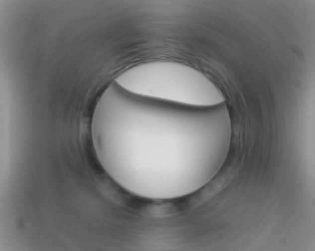 X0000114230278200910091335
