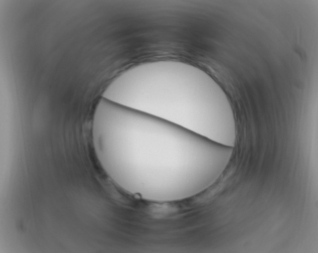 X0000114230281200910091335