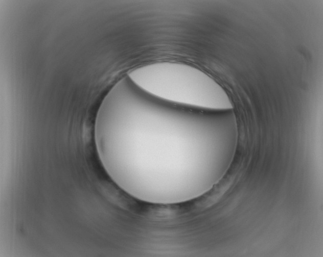 X0000114230282200910091335