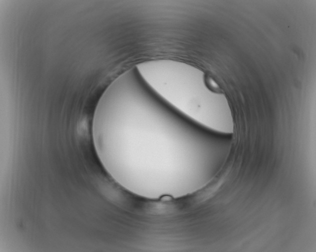 X0000114230286200910091335