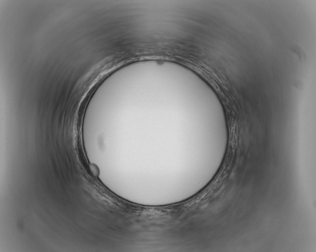 X0000114230290200910091334