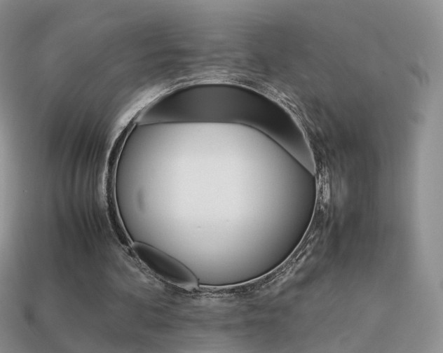 X0000114230292200910091334