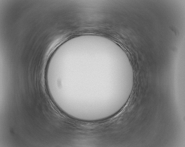 X0000114230293200910091334