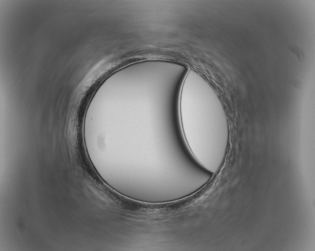 X0000114230295200910091334