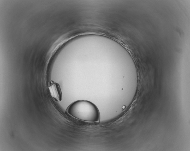 X0000114230296200910091334