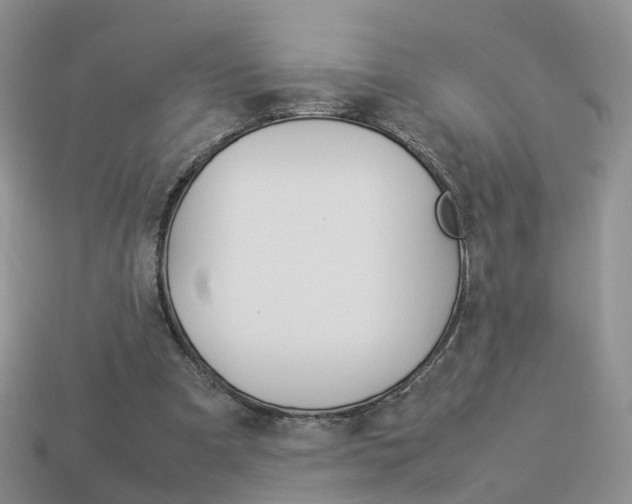 X0000114230297200910091334