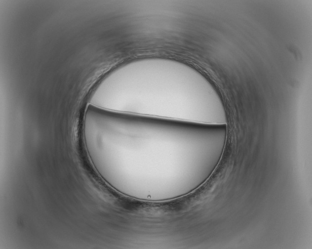 X0000114230299200910091334