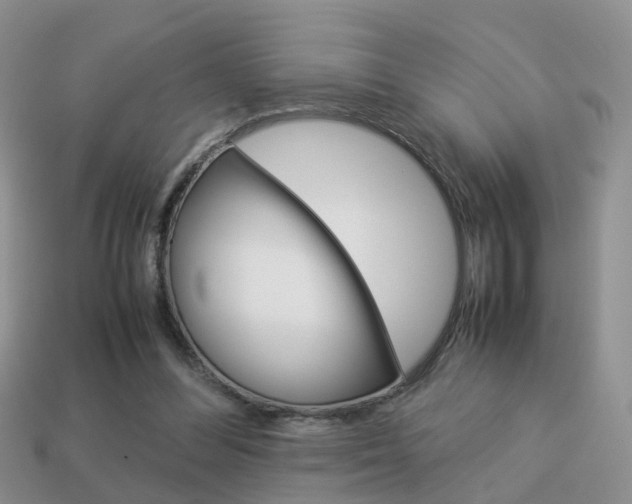 X0000114230300200910091334