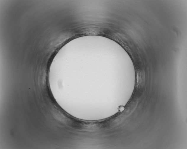 X0000114230301200910091334