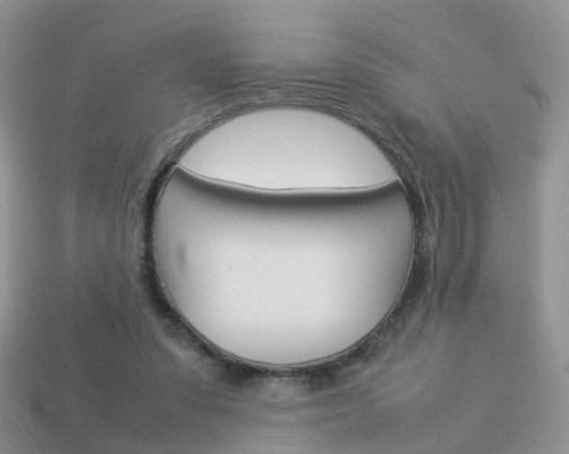 X0000114230303200910091334