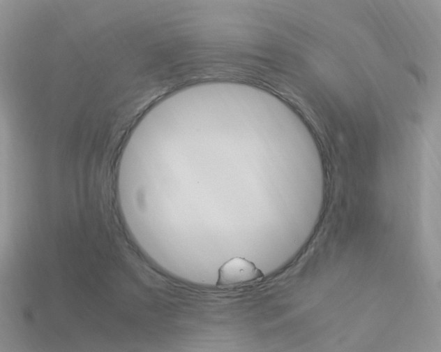 X0000114230305200910091334