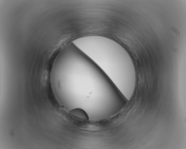 X0000114230308200910091334