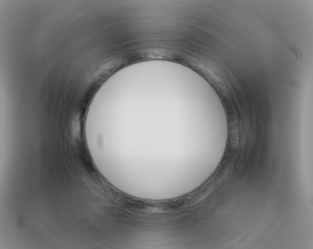 X0000114230310200910091334