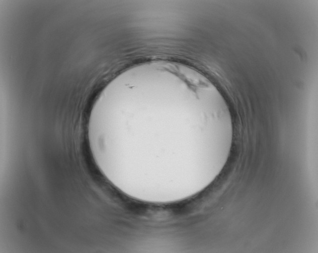 X0000114230311200910091334