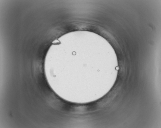 X0000114230313200910091334