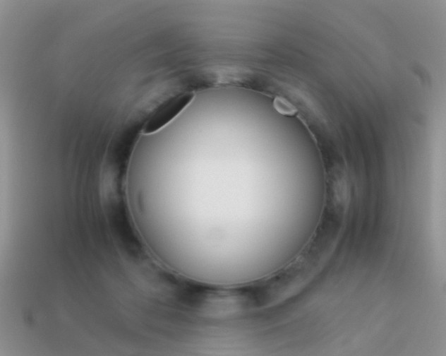 X0000114230316200910091333