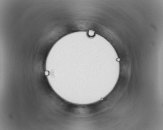 X0000114230317200910091333