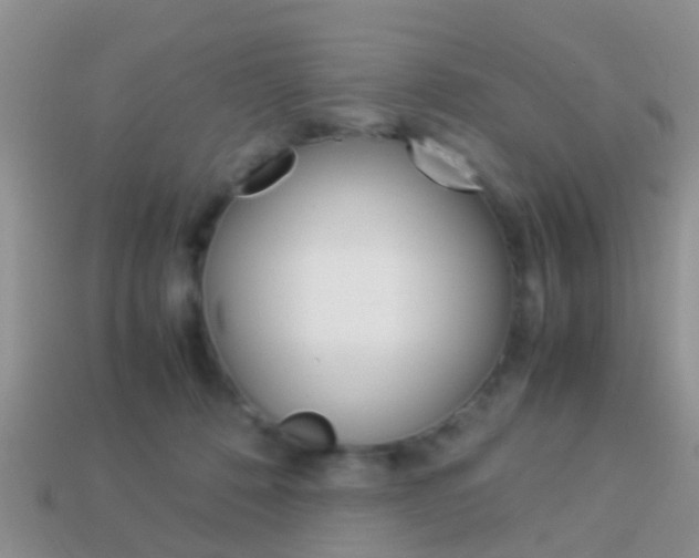 X0000114230320200910091333