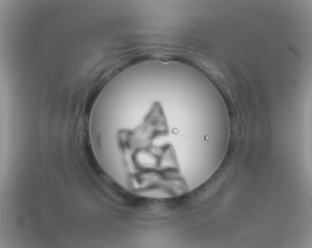 X0000114230325200910091333
