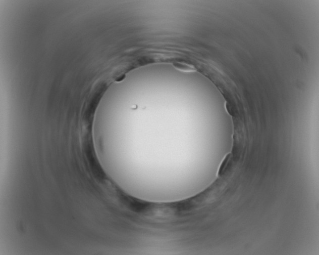 X0000114230327200910091333