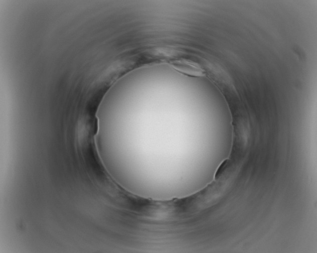 X0000114230328200910091333
