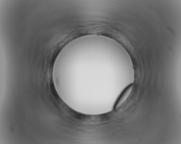 X0000114230329200910091333