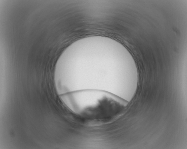 X0000114230331200910091333