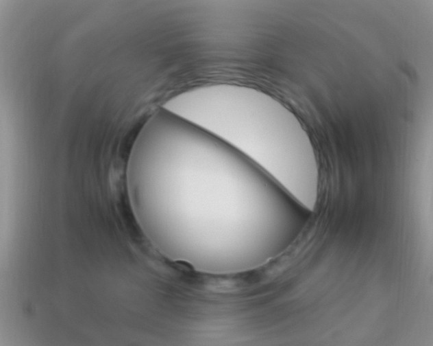X0000114230332200910091333