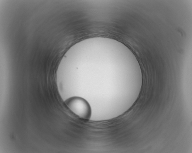 X0000114230336200910091333