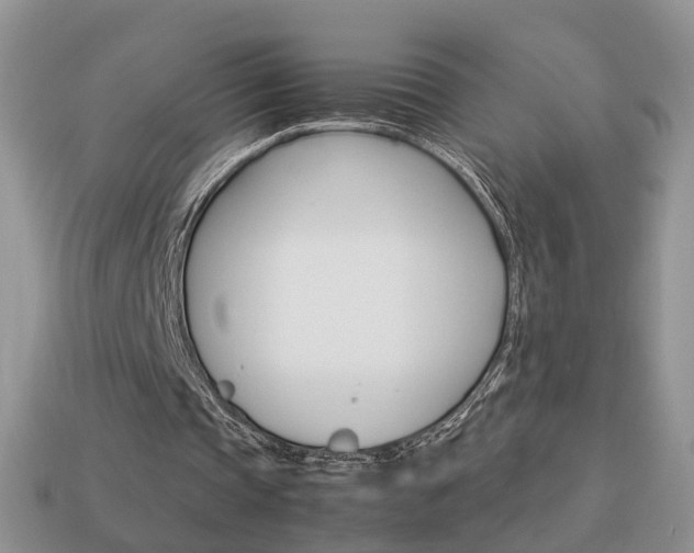 X0000114230337200910091332