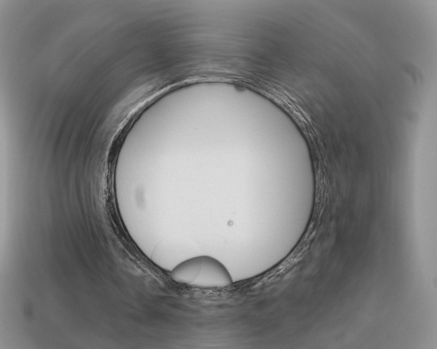 X0000114230338200910091332