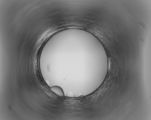 X0000114230339200910091332