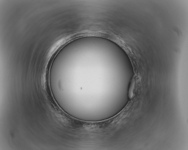 X0000114230340200910091332