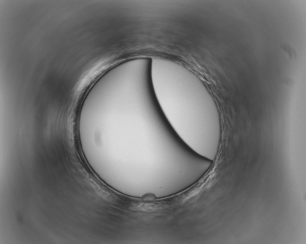 X0000114230341200910091332