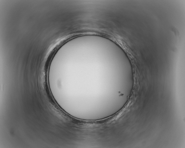X0000114230342200910091332