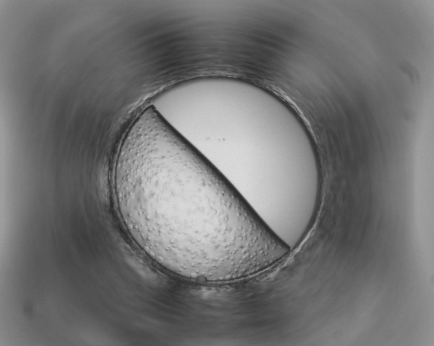 X0000114230345200910091333