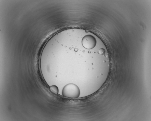 X0000114230346200910091333
