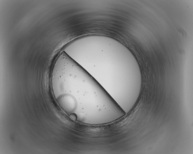 X0000114230349200910091333