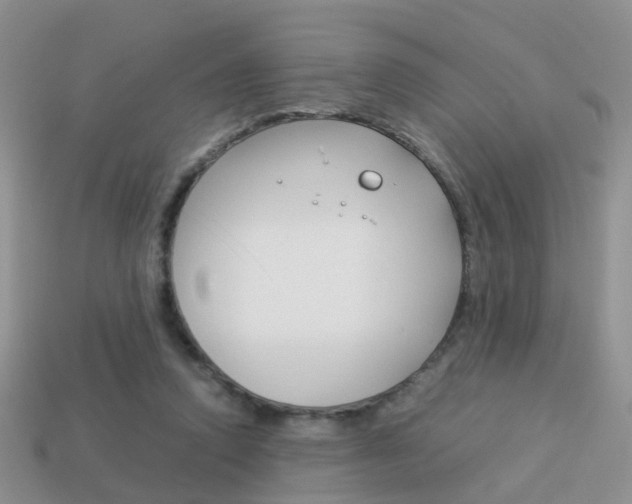 X0000114230354200910091333