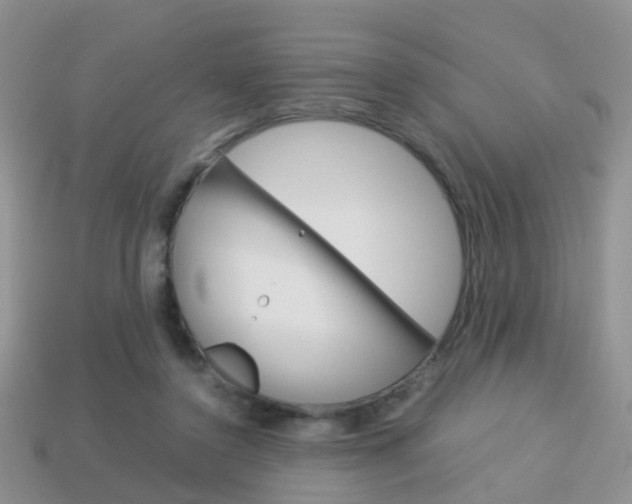 X0000114230356200910091333