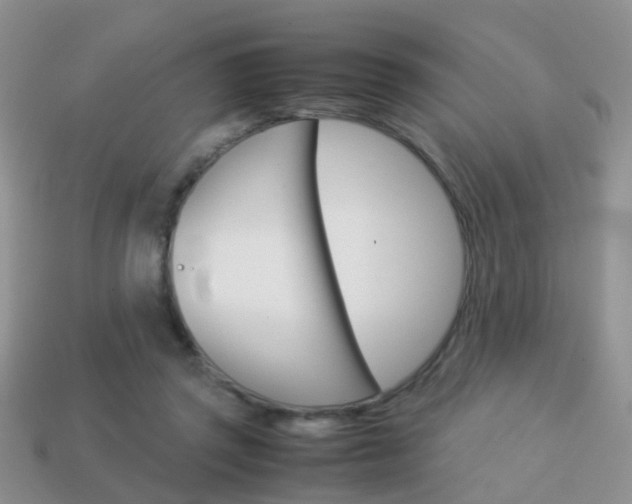 X0000114230357200910091333