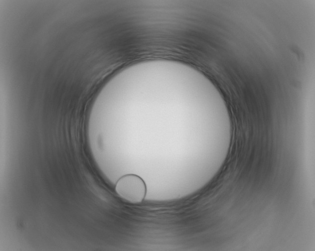 X0000114230360200910091333