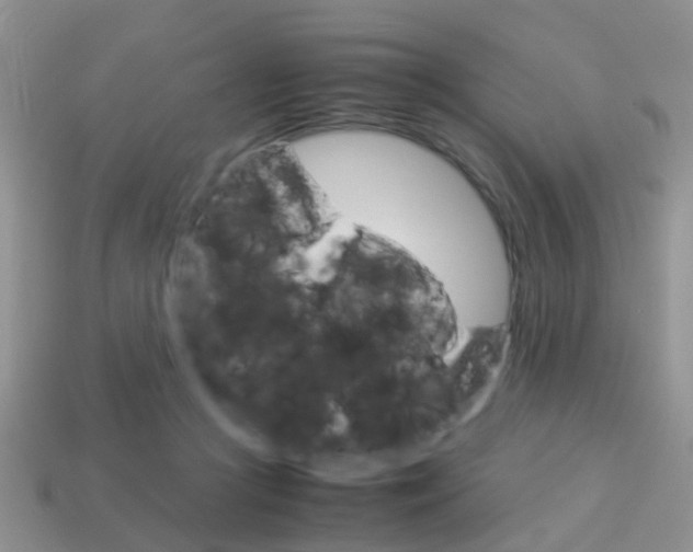 X0000114230361200910091333